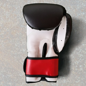 Kitsune Martial Arts Adult Boxing Gloves